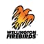 Wellington Firebirds Flag